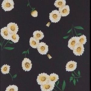 Meet your Posher, Reagan